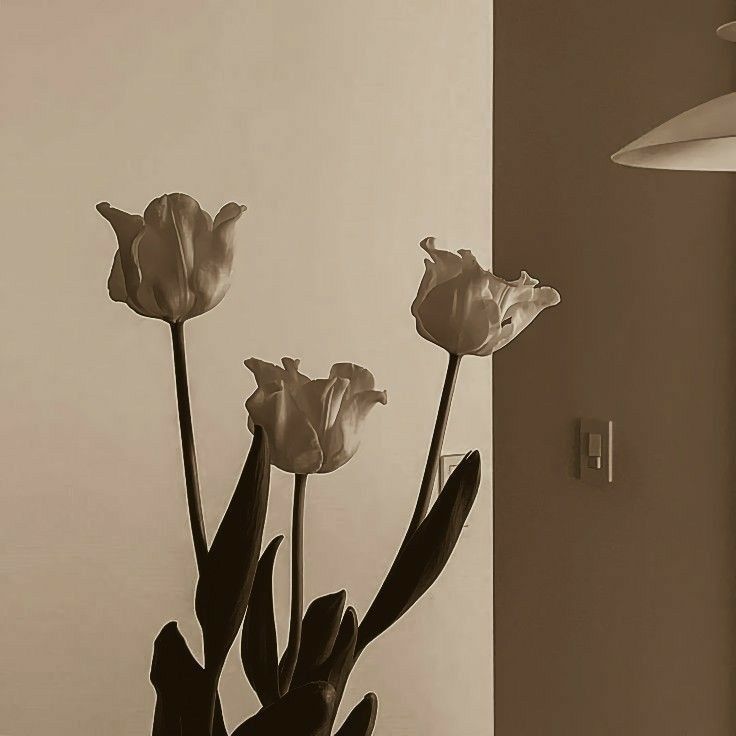 a vase with flowers in it sitting on a table next to a wall mounted light