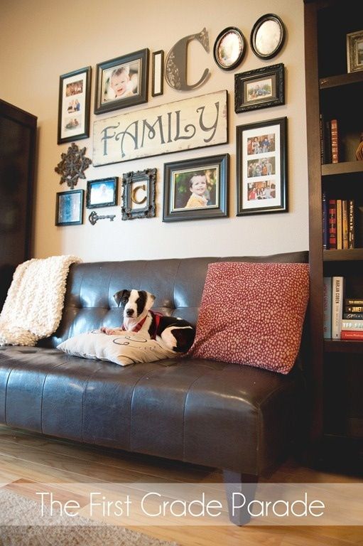 a black and white dog sitting on top of a leather couch in front of a book shelf