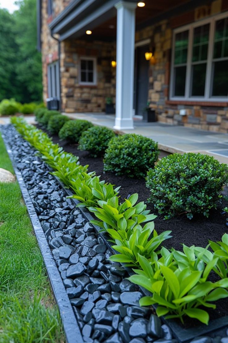 a long row of green plants in front of a house