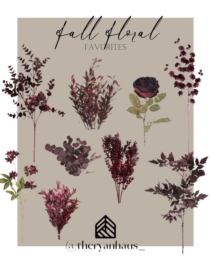 various flowers and leaves with the words fall floral favorites