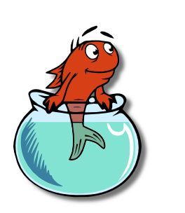 a red fish sitting on top of a goldfish bowl