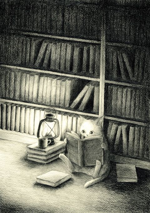 a drawing of a cat reading in front of a bookshelf