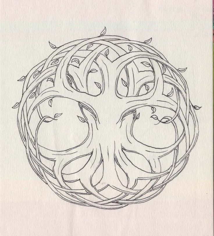 a drawing of a tree in the middle of a circle