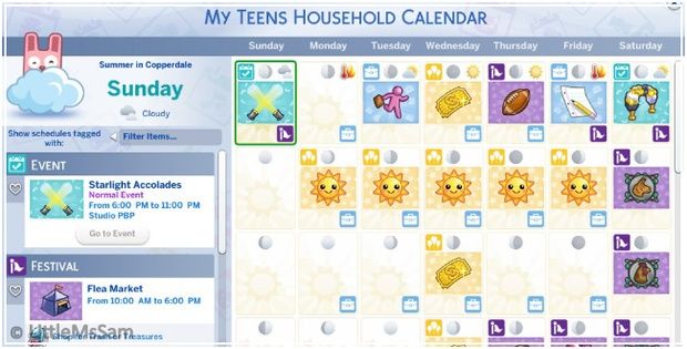 an image of a screen shot of the my tens household calendar on windows 8 and 7