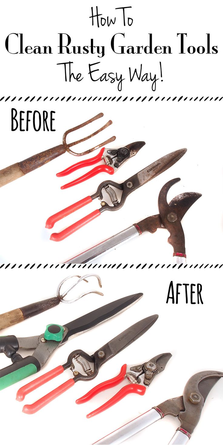 there are many different tools that can be used to clean and brush garden tools for the easy way