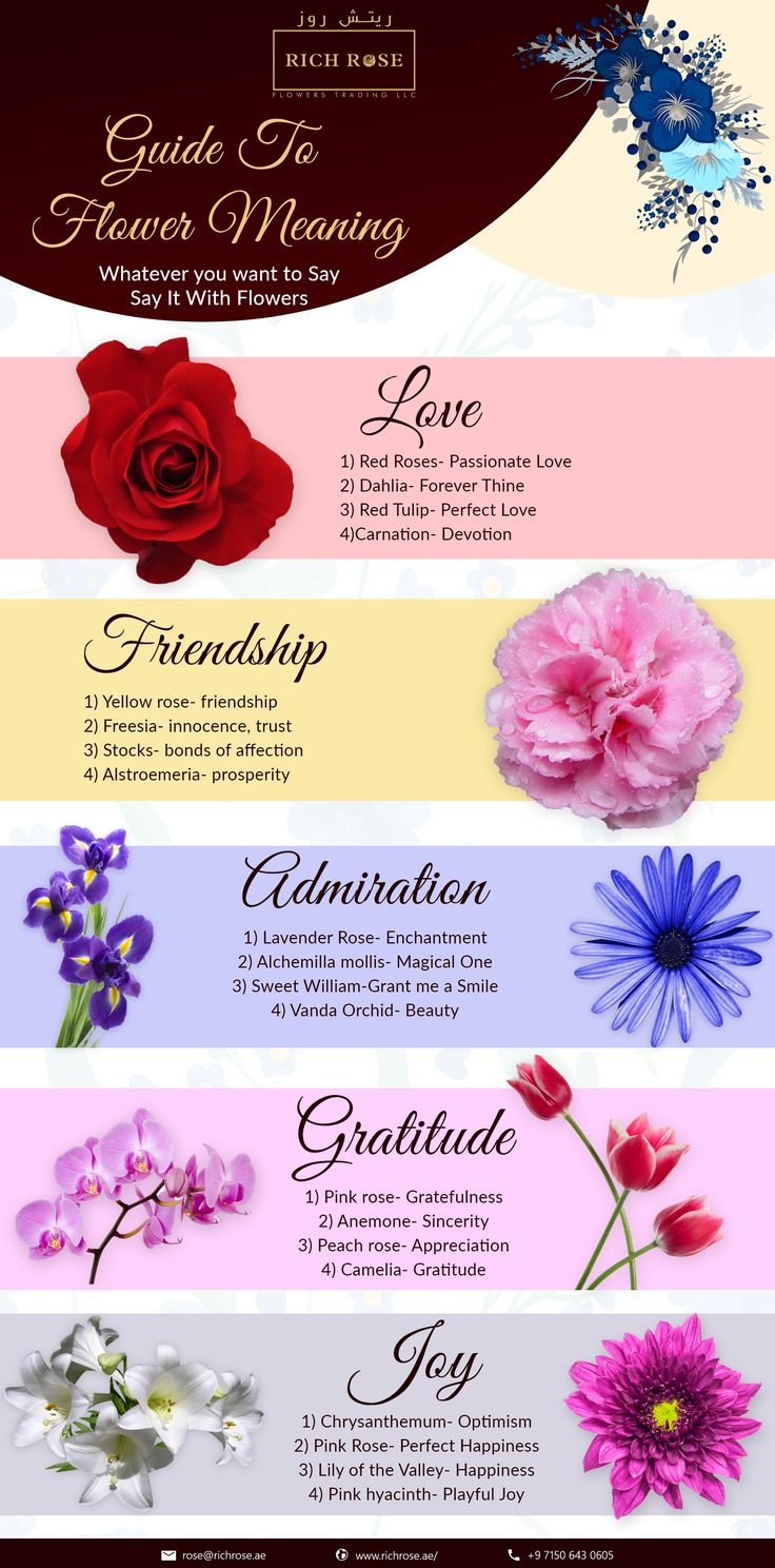 a bunch of flowers that are in different colors and font styles, with the names on them