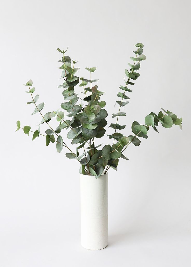 Artificial Greenery Spiral Eucalyptus Eucalyptus Aesthetic, Spiral Eucalyptus, Greenery Arrangements, Artificial Leaves, Greenery Decor, Eucalyptus Branches, Eucalyptus Leaf, Faux Greenery, Artificial Leaf