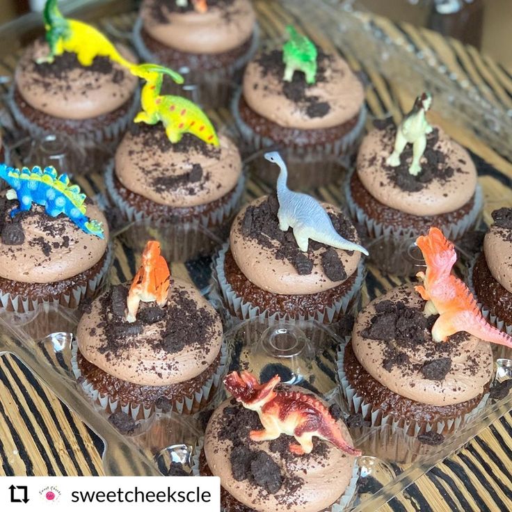 cupcakes decorated with dinosaur figurines and chocolate frosting on a clear plate