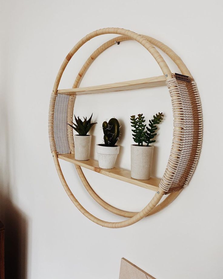 some plants are sitting in small pots on a shelf above a wall mounted circular rack