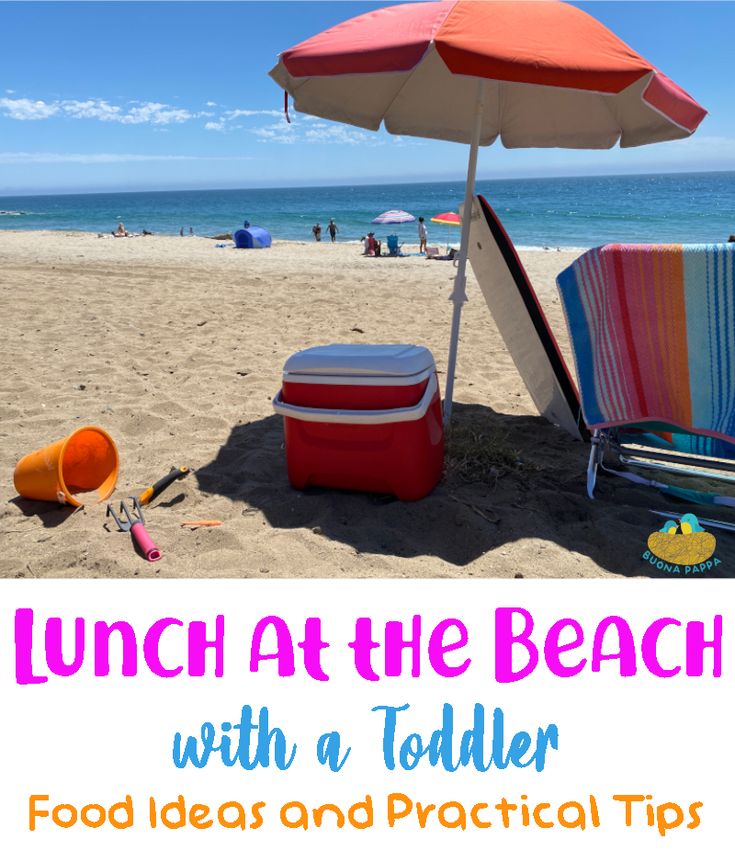 lunch at the beach with a toddler food ideas and practical tips