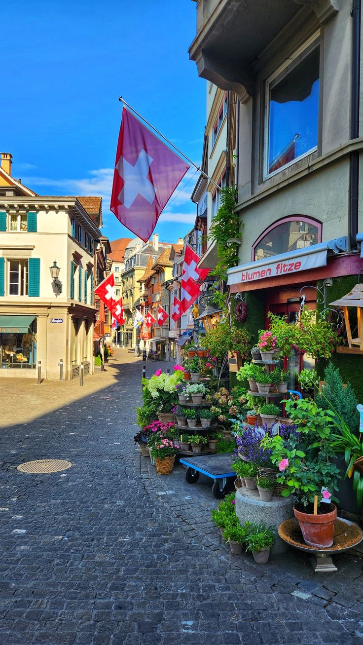 an empty street with potted plants on the side and flags flying in the air