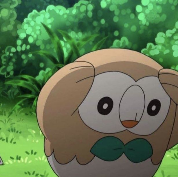 an owl with a bow tie standing in the grass