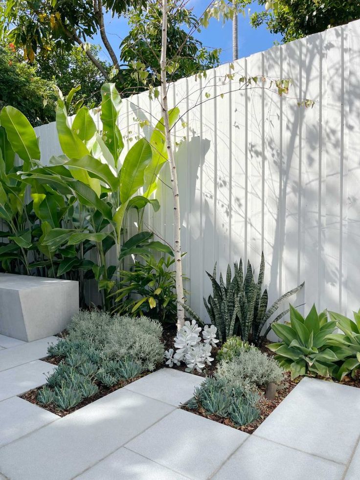 an outdoor garden with white walls and plants