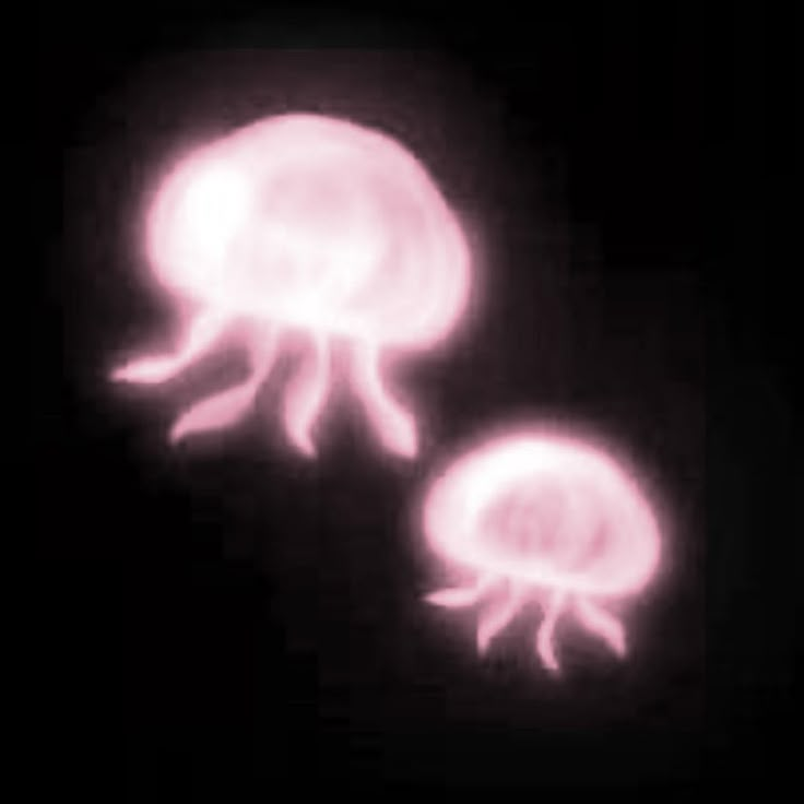 two jellyfish glowing in the dark with their heads turned to look like they are floating