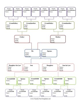 a family tree is shown with all the names and numbers in each section on it