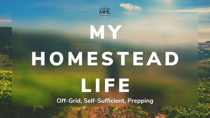 My Homestead Life: Survival Prepping, Garden, Homemade Recipes