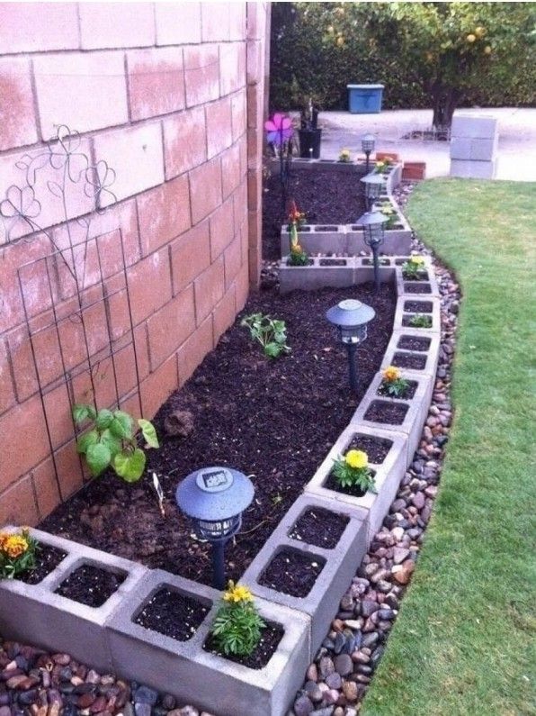 a garden area with various plants and rocks