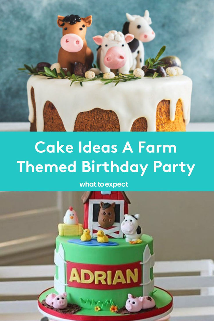 cake ideas a farm themed birthday party