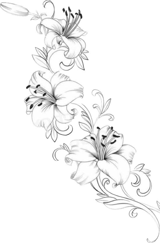 a line drawing of flowers on a white background