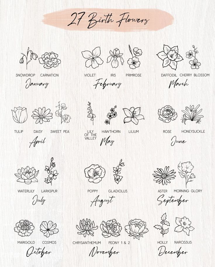 the 25 birth flowers are shown in black and white, with pink ink on them