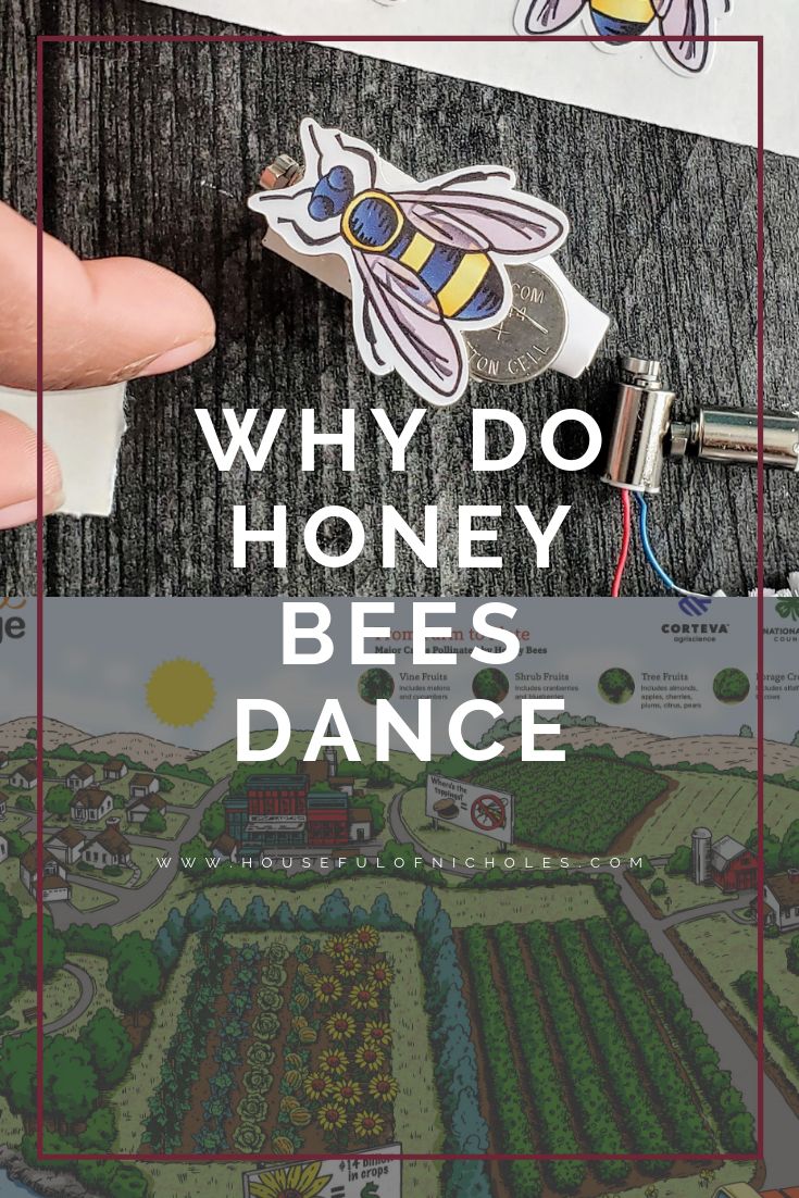 a hand holding a bee sticker with the words, why do honey bees dance?