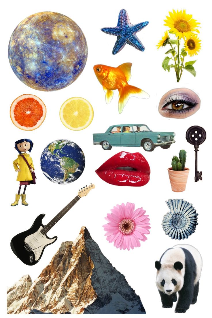 a collage of various pictures with animals, flowers and other things