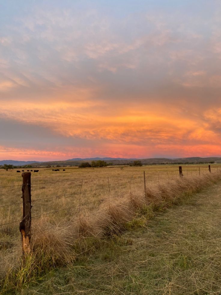 the sun is setting behind a fence in an open field with cows grazing on it