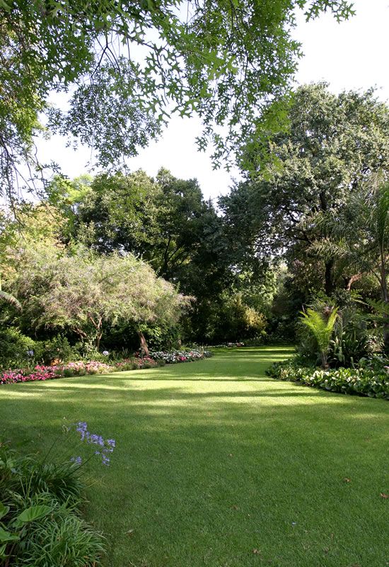 a lush green park with lots of trees and flowers