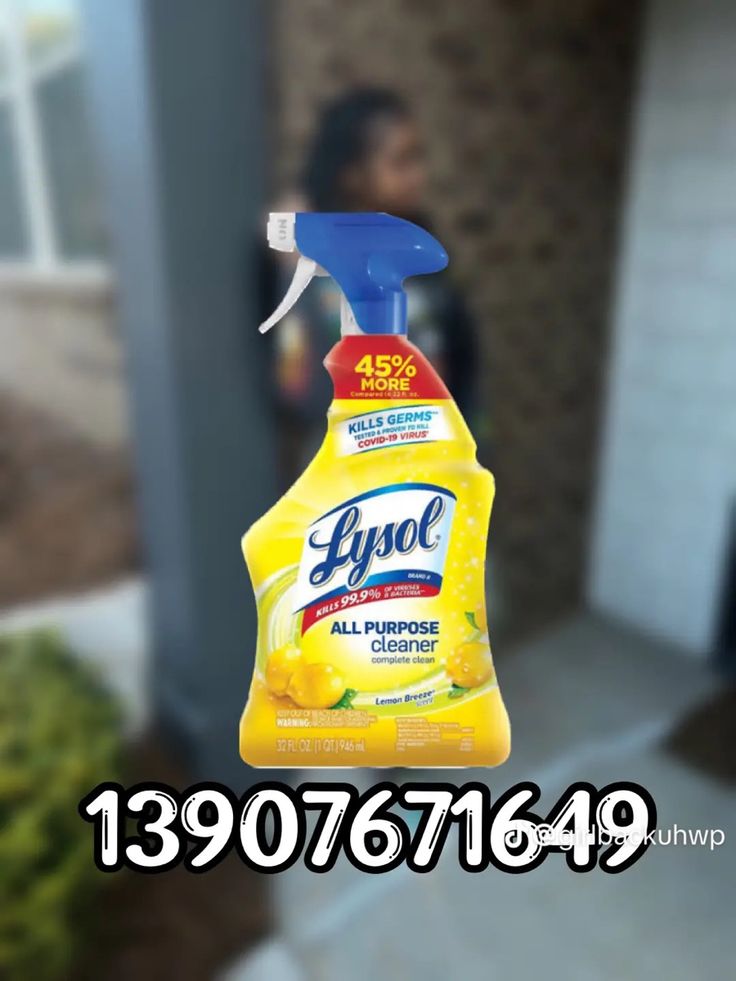 a bottle of lysol all purpose cleaner sitting in front of a house