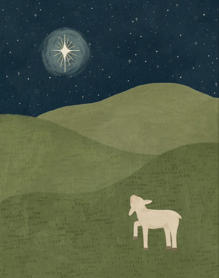 A lamb looking up at the star of Bethlehem in empty green fields in the night. The Birth Of Jesus Christ, Whats Wallpaper, Jesus Artwork, Birth Of Jesus Christ, Lds Art, Illustration Noel, Christmas Jesus, 캐릭터 드로잉, Biblical Art