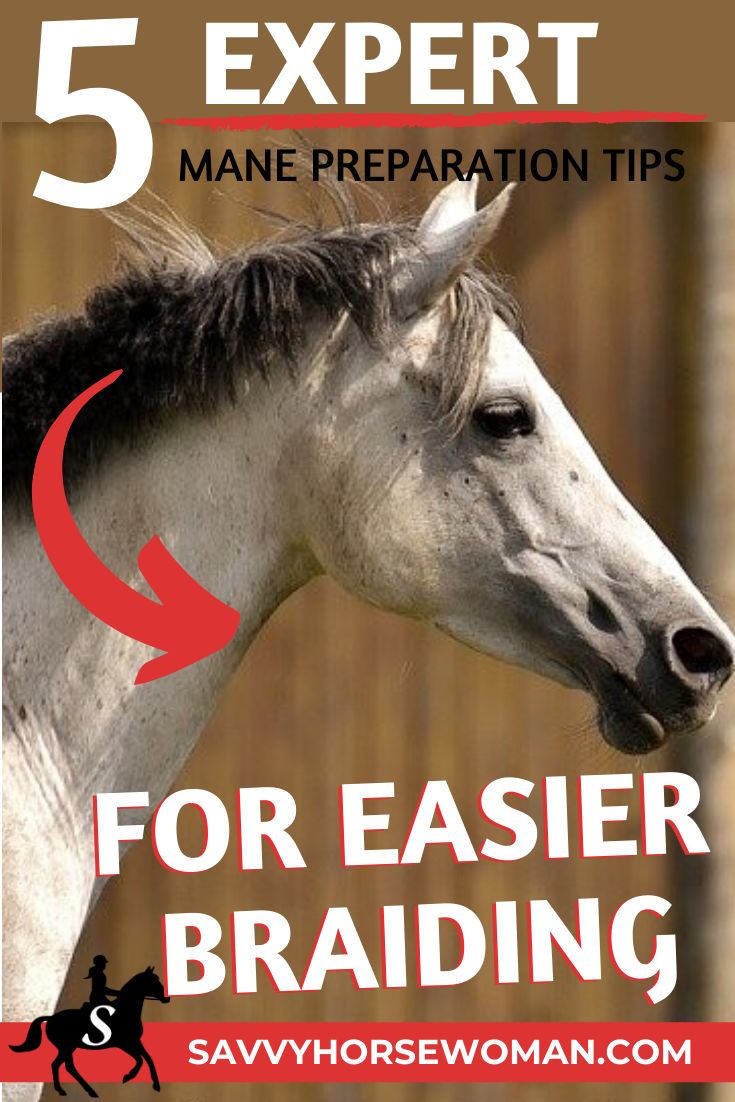 a horse with the words 5 expert mane preparation tips for easier braiding