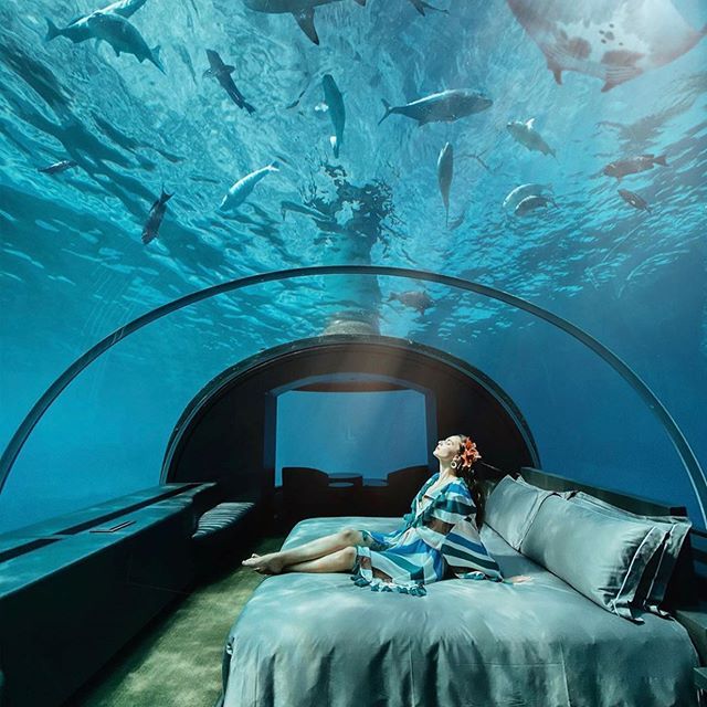 a woman laying on top of a bed in a room filled with water and sharks