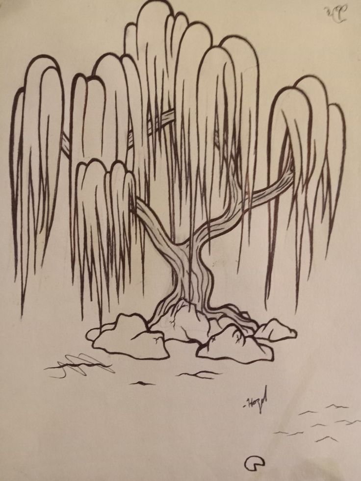 a drawing of a tree in the water