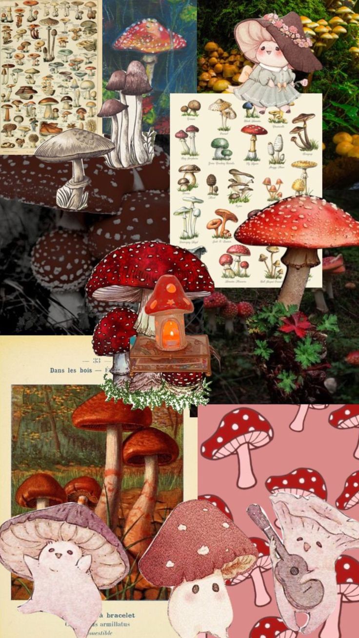 several different pictures of mushrooms in the woods