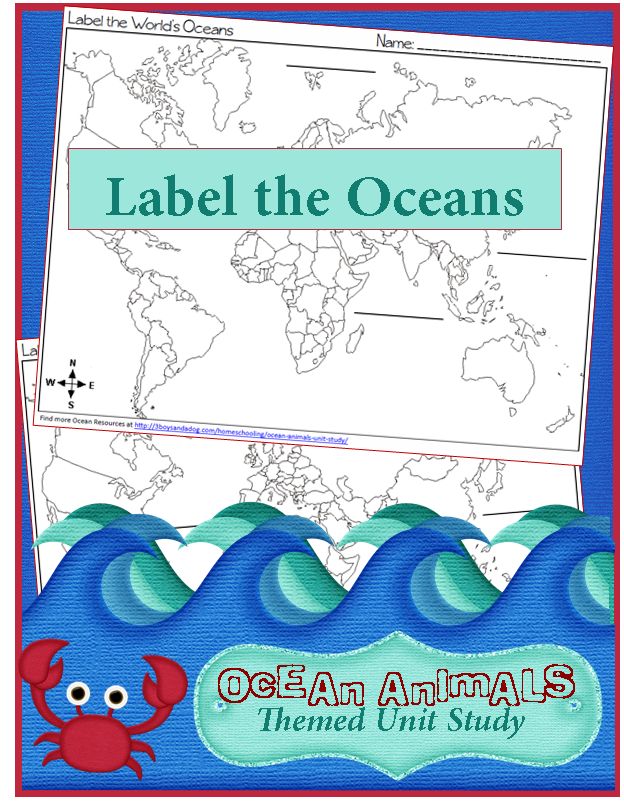 an ocean map with the words label the oceans