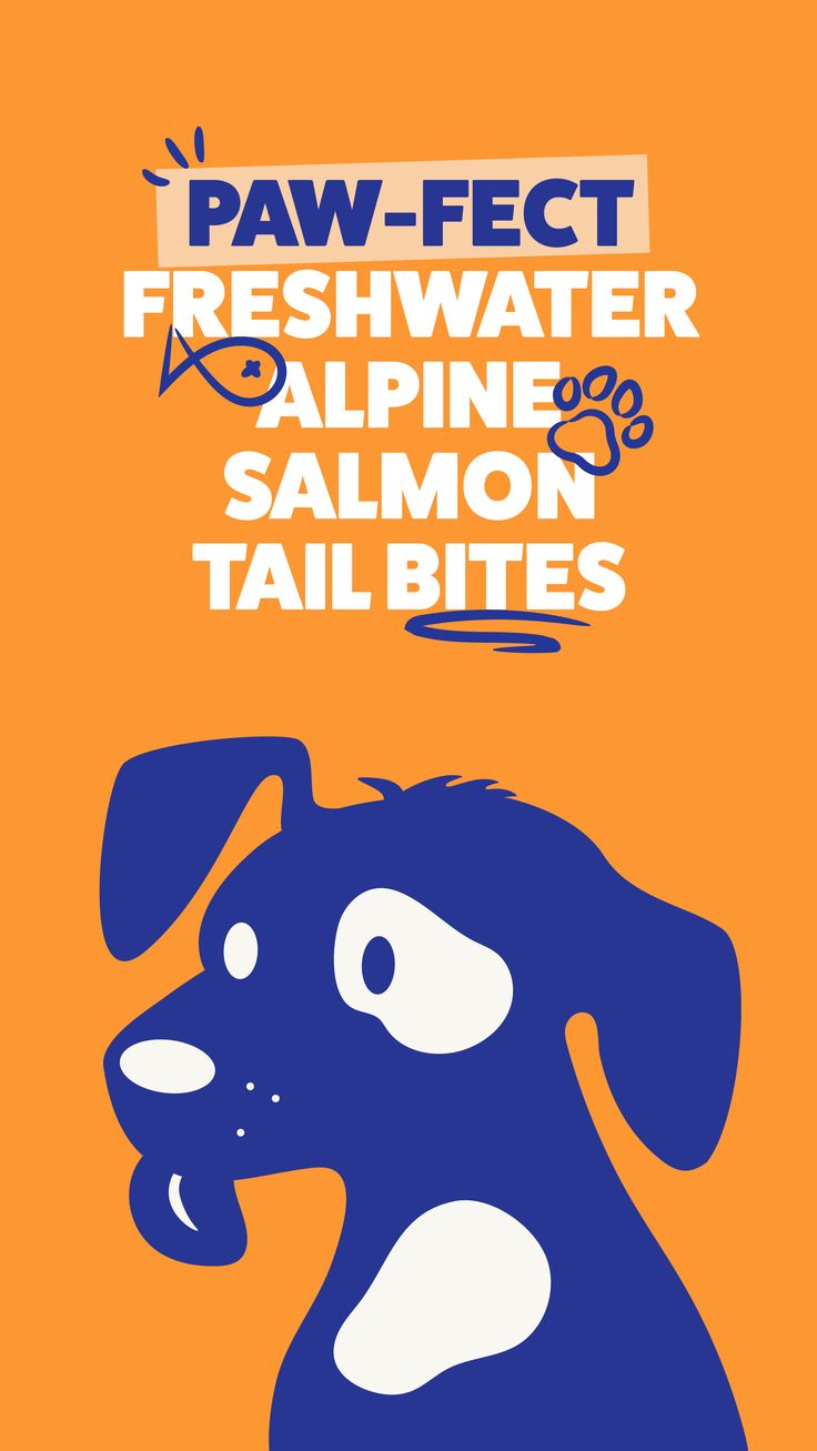 an orange and blue poster with a dog on it