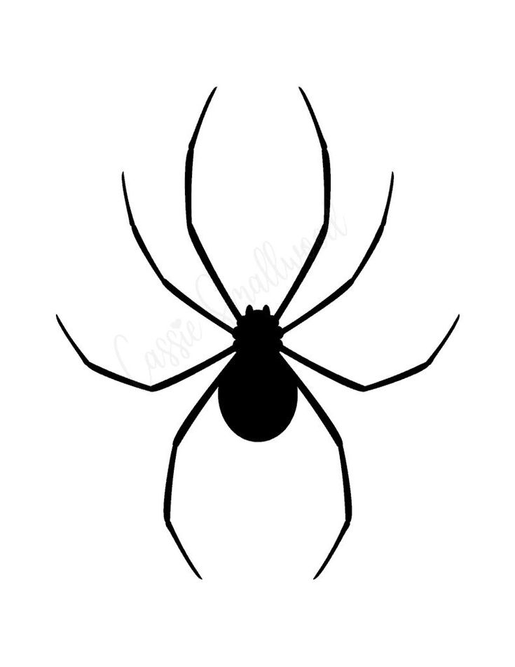 a black and white spider silhouette on a white background