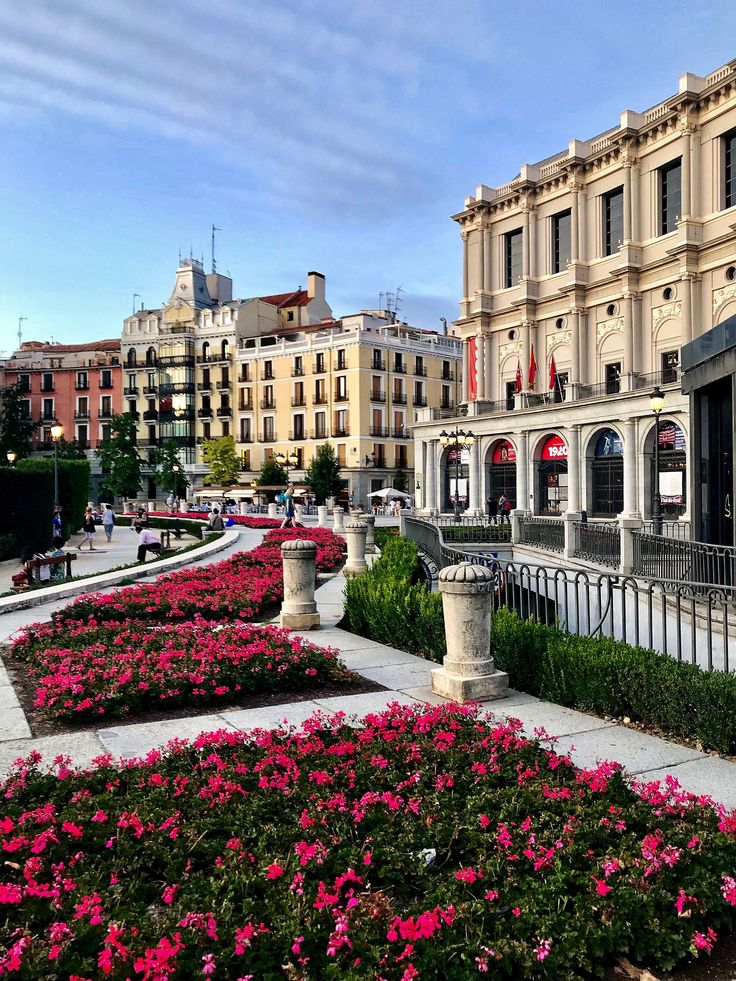 pink flowers are in the middle of a flower garden on a city street lined with buildings