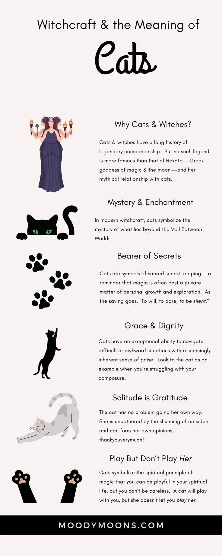 Meaning of Cats in Witchcraft - Moody Moons Animals In Witchcraft, Cats In Witchcraft, Cat Colors Meaning, Cat Spirituality, Crafts For Cats, Cat Meaning, Manifestation School, Cat Witchcraft, Black Cat Meaning