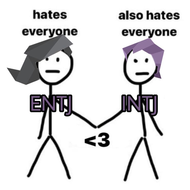 Intj Entj Ship, Entj Intj Relationship, Entj And Intj Relationship, Entj X Intj Relationship, Entj X Entp Ship, Entj Ship, Entj Anime Characters, Entp Intj Relationship, Intp X Entj Art