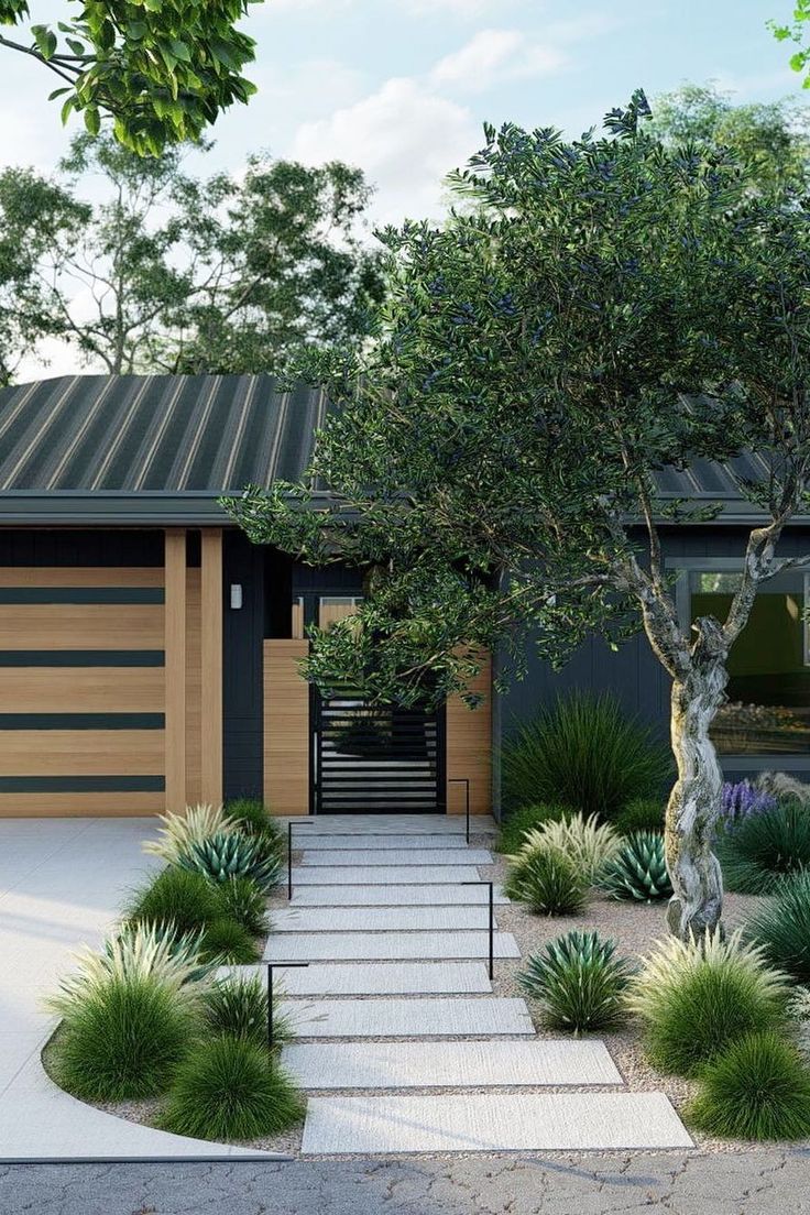 a modern house with landscaping and trees in the front yard, along with steps leading up to it