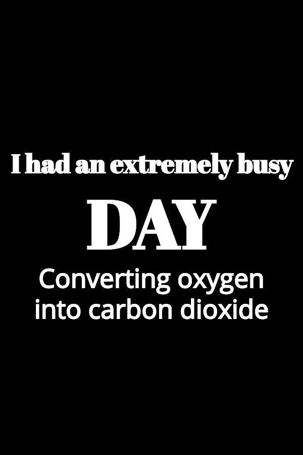 a black and white photo with the words i had an extremely busy day covering oxygen into carbon dioxidade