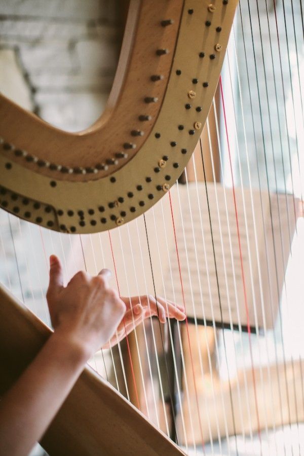 a person playing a harp in front of a window