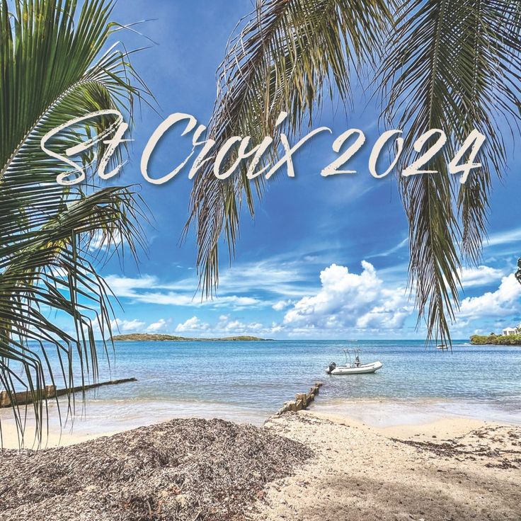 there is a beach with palm trees and the words crax 2094 on it