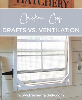 chicken coop crafts and ventilation with text overlay that reads hatcher coop draft vs ventilation