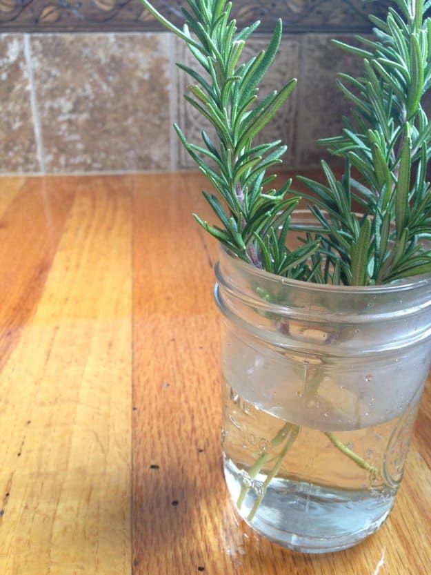 a glass jar filled with water sitting on top of a wooden table next to a plant