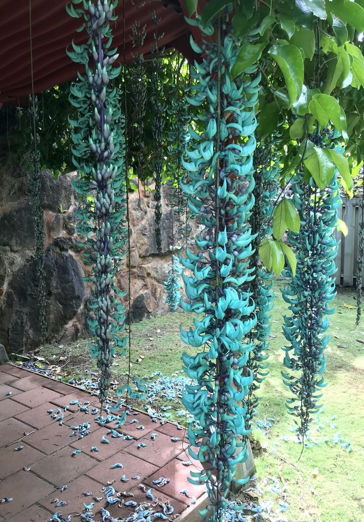 blue glass flowers are hanging from the ceiling in an outdoor area with brick pavers