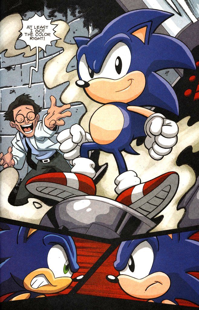 an image of sonic the hedge riding a skateboard