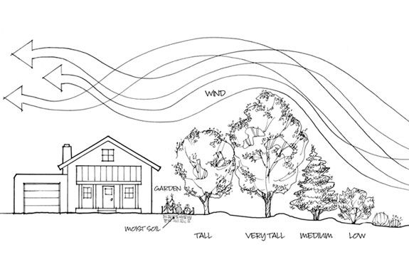 a drawing of a house and trees with arrows pointing to different locations in the sky