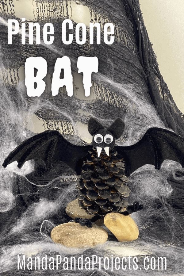 a black bat sitting on top of a pile of rocks and pinecone cones